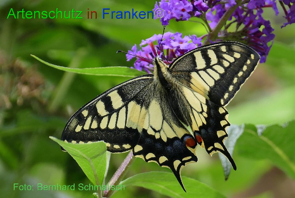 Copyright AiF / Bernhard Schmalisch Bild zum Eintrag (95108-160)