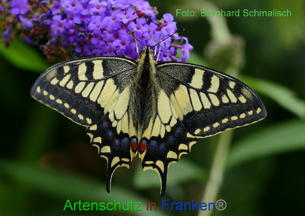 Copyright AiF / Bernhard Schmalisch Bild zum Eintrag (95109-160)