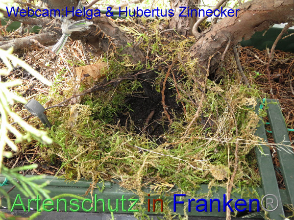 Copyright AiF / Webcam - Helga & Hubertus Zinnecker Bild zum Eintrag (95170-160)