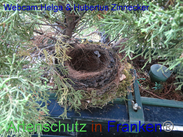 Copyright AiF / Webcam - Helga & Hubertus Zinnecker Bild zum Eintrag (95172-160)