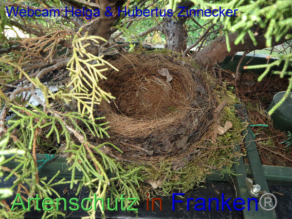 Copyright AiF / Webcam - Helga & Hubertus Zinnecker Bild zum Eintrag (95173-160)