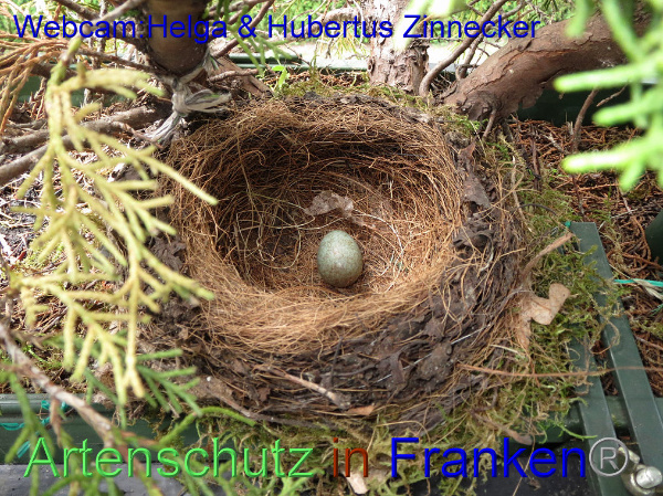 Copyright AiF / Webcam - Helga & Hubertus Zinnecker Bild zum Eintrag (95174-160)