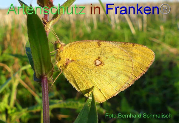 Copyright AiF / Bernhard Schmalisch Bild zum Eintrag (95196-160)