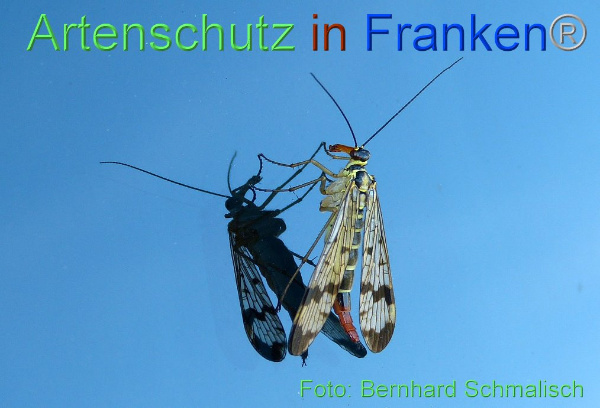 Copyright AiF / Bernhard Schmalisch Bild zum Eintrag (95201-160)