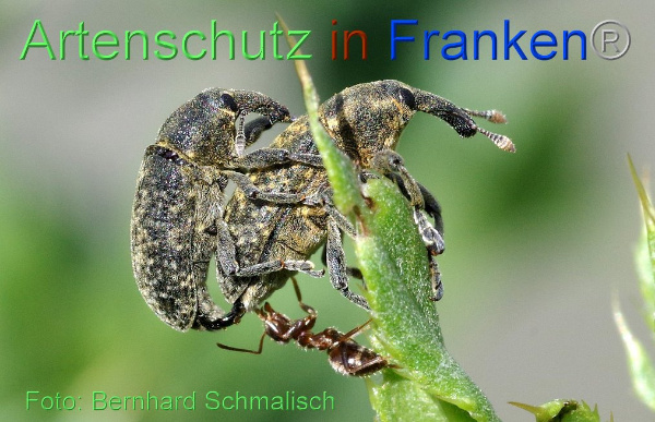 Copyright AiF / Bernhard Schmalisch Bild zum Eintrag (95221-160)
