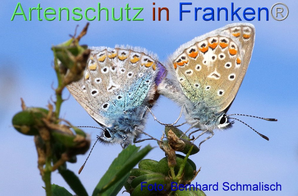 Copyright AiF / Bernhard Schmalisch Bild zum Eintrag (95227-160)