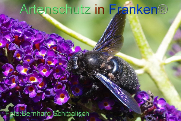 Copyright AiF / Bernhard Schmalisch Bild zum Eintrag (95308-160)