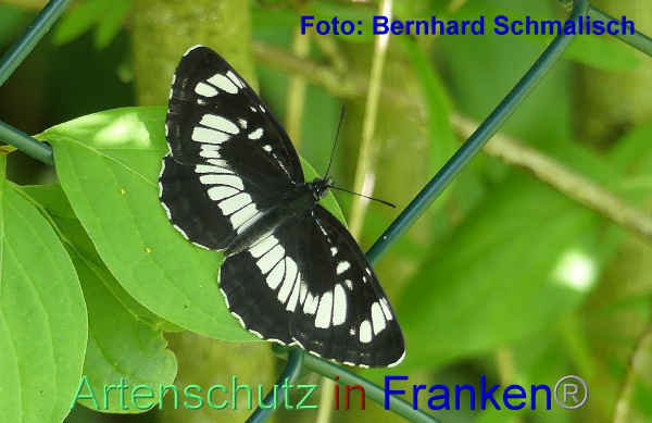 Copyright AiF / Bernhard Schmalisch Bild zum Eintrag (95395-160)