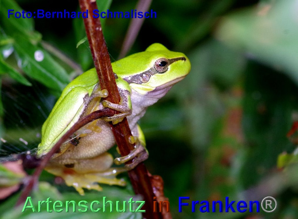 Copyright AiF / Bernhard Schmalisch Bild zum Eintrag (95428-160)