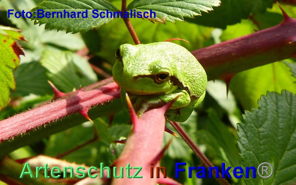 Copyright AiF / Bernhard Schmalisch Bild zum Eintrag (95429-160)