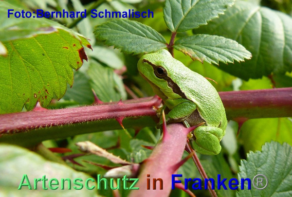 Copyright AiF / Bernhard Schmalisch Bild zum Eintrag (95430-160)