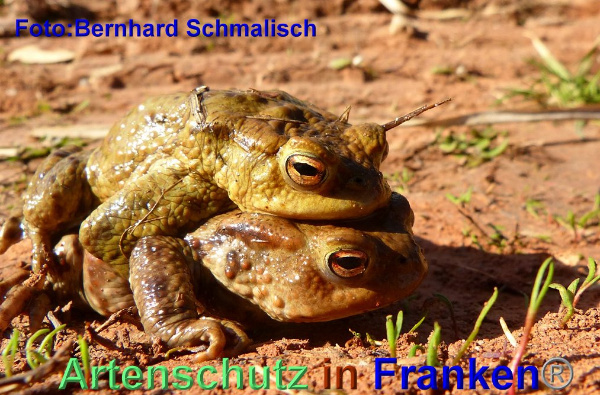 Copyright AiF / Bernhard Schmalisch Bild zum Eintrag (95435-160)