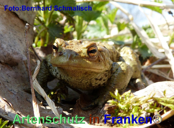 Copyright AiF / Bernhard Schmalisch Bild zum Eintrag (95436-160)