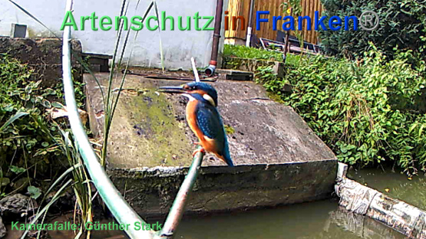 Copyright AiF / Günter Stark Bild zum Eintrag (95486-160)