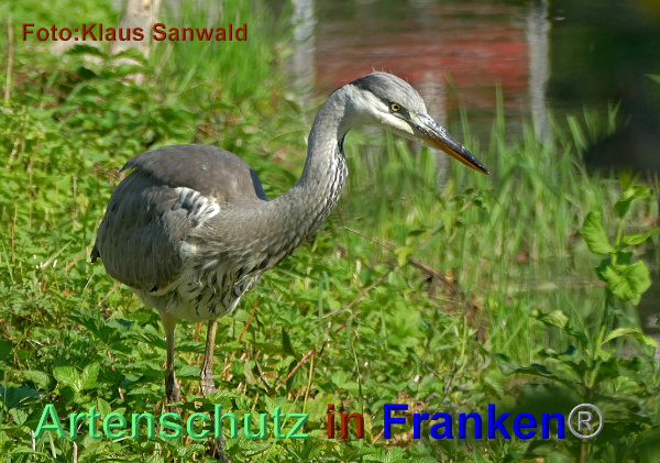Copyright AiF - Klaus Sanwald Bild zum Eintrag (95502-160)