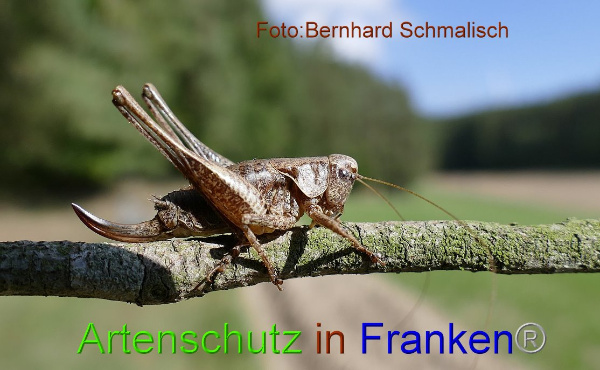 Copyright AiF / Bernhard Schmalisch Bild zum Eintrag (95743-160)
