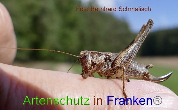 Copyright AiF / Bernhard Schmalisch Bild zum Eintrag (95744-160)