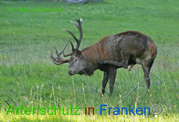 Copyright AiF - Klaus Sanwald Bild zum Eintrag (95757-160)
