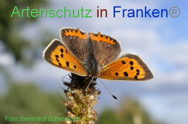 Copyright AiF / Bernhard Schmalisch Bild zum Eintrag (96174-160)