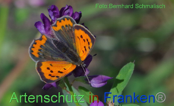 Copyright AiF / Bernhard Schmalisch Bild zum Eintrag (96176-160)