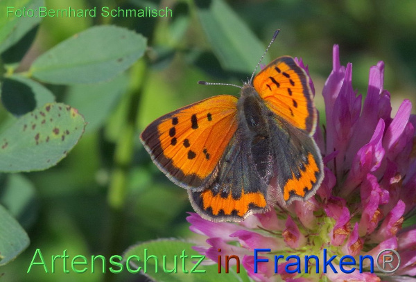 Copyright AiF / Bernhard Schmalisch Bild zum Eintrag (96177-160)