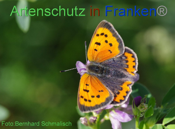 Copyright AiF / Bernhard Schmalisch Bild zum Eintrag (96178-160)