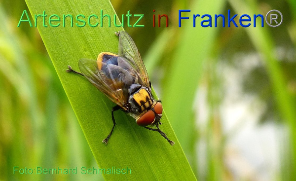 Copyright AiF / Bernhard Schmalisch Bild zum Eintrag (96191-160)