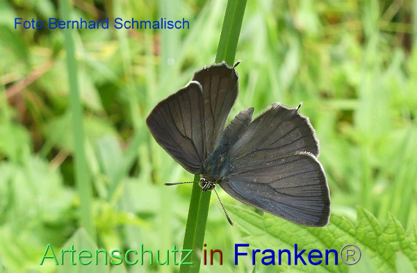 Copyright AiF / Bernhard Schmalisch Bild zum Eintrag (96219-160)