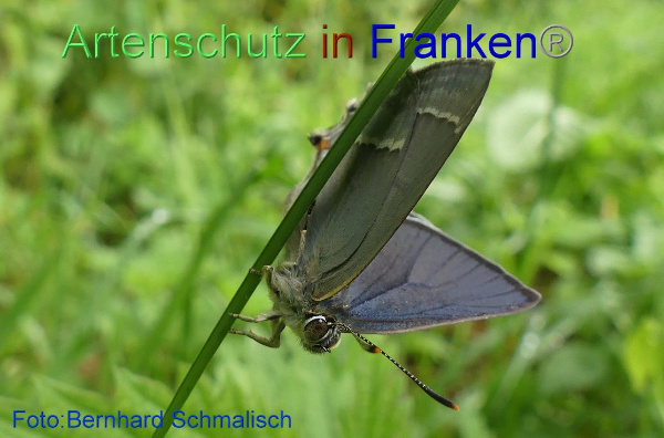 Copyright AiF / Bernhard Schmalisch Bild zum Eintrag (96220-160)