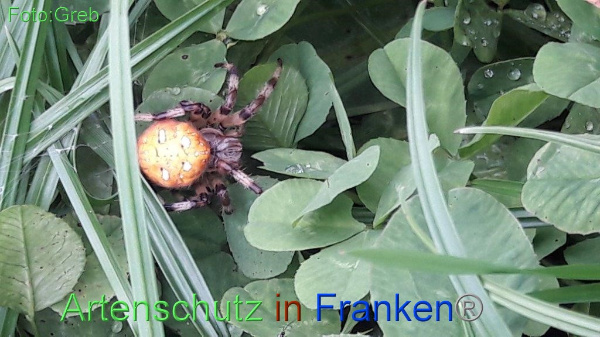 Copyright AiF / Volkmar Greb Bild zum Eintrag (96265-160)