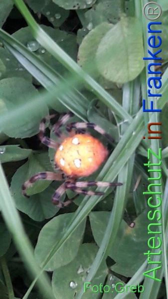 Copyright AiF / Volkmar Greb Bild zum Eintrag (96266-160)