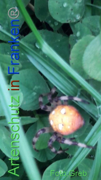 Copyright AiF / Volkmar Greb Bild zum Eintrag (96267-160)