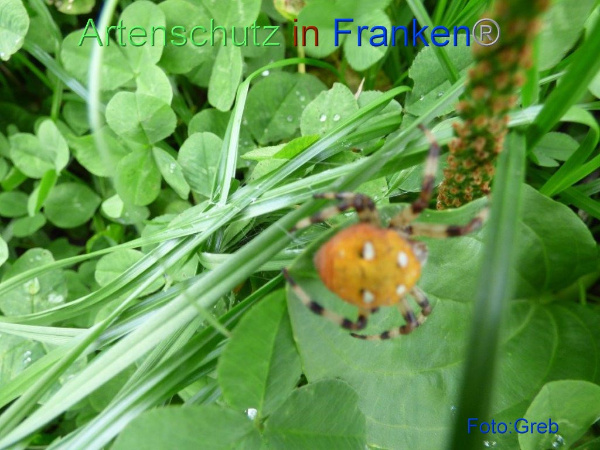 Copyright AiF / Volkmar Greb Bild zum Eintrag (96270-160)