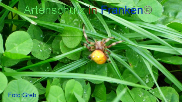 Copyright AiF / Volkmar Greb Bild zum Eintrag (96271-160)