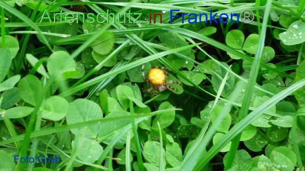 Copyright AiF / Volkmar Greb Bild zum Eintrag (96272-160)
