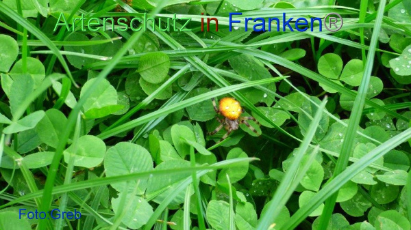 Copyright AiF / Volkmar Greb Bild zum Eintrag (96273-160)