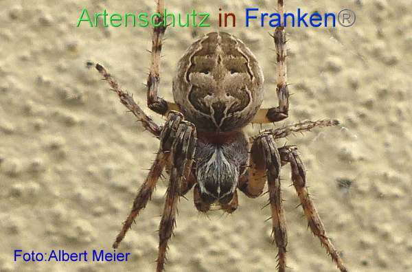 Copyright AiF - Albert Meier Bild zum Eintrag (96280-160)