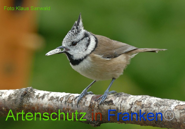 Copyright AiF - Klaus Sanwald Bild zum Eintrag (96644-160)