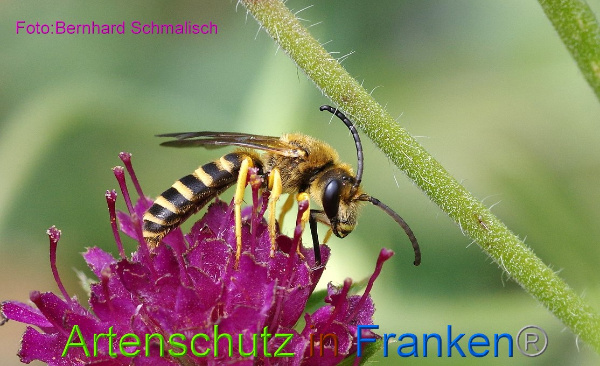 Bild zum Eintrag (96653-160)