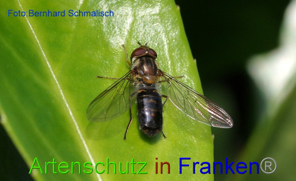 Copyright AiF / Bernhard Schmalisch Bild zum Eintrag (97416-160)