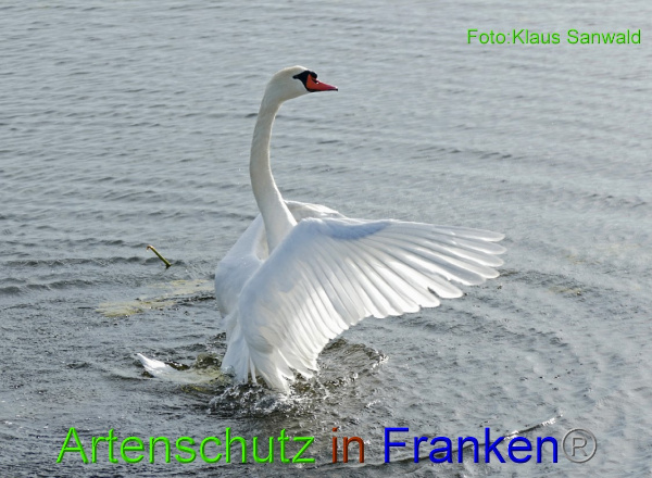 Copyright AiF - Klaus Sanwald Bild zum Eintrag (97420-160)