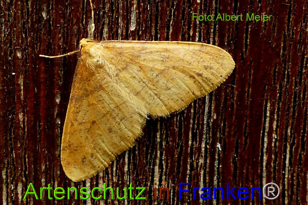 Copyright AiF - Albert Meier Bild zum Eintrag (97473-160)