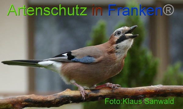 Copyright AiF - Klaus Sanwald Bild zum Eintrag (97483-160)