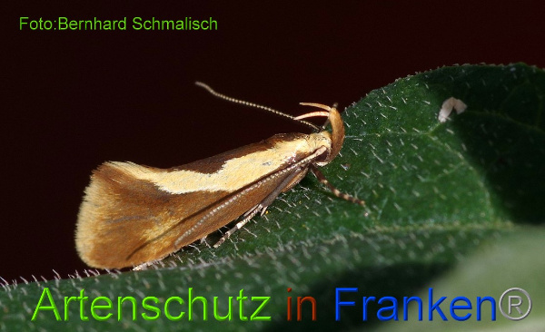 Copyright AiF / Bernhard Schmalisch Bild zum Eintrag (97491-160)