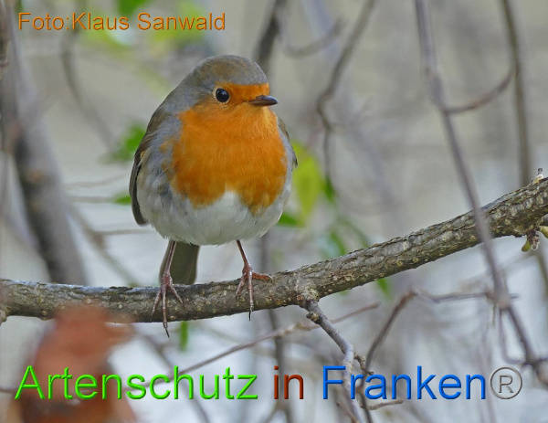 Bild zum Eintrag (97722-160)
