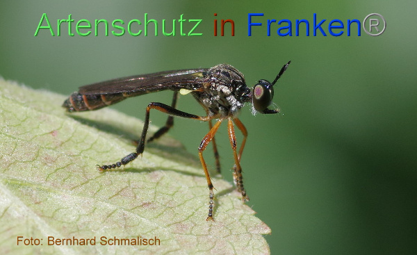 Bild zum Eintrag (97787-160)