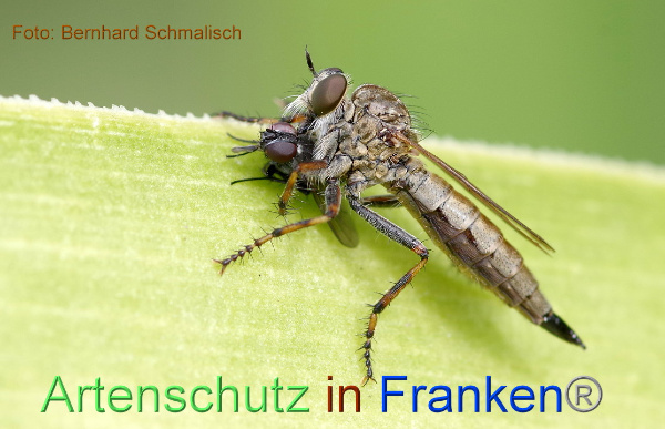 Bild zum Eintrag (97788-160)