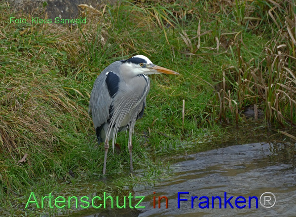 Copyright AiF - Klaus Sanwald Bild zum Eintrag (97948-160)
