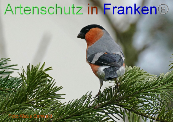 Copyright AiF - Klaus Sanwald Bild zum Eintrag (98088-160)