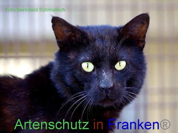 Copyright AiF / Bernhard Schmalisch Bild zum Eintrag (98136-160)